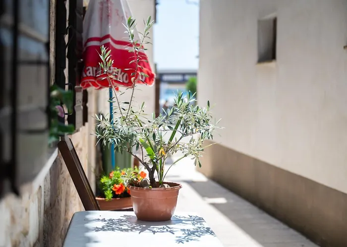 Traditional Dalmatian House Tina Tatil Evi *